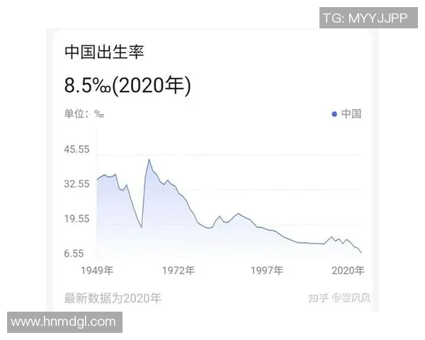 重庆羽毛球队实力飙升创历史新高引发全国关注与赞誉