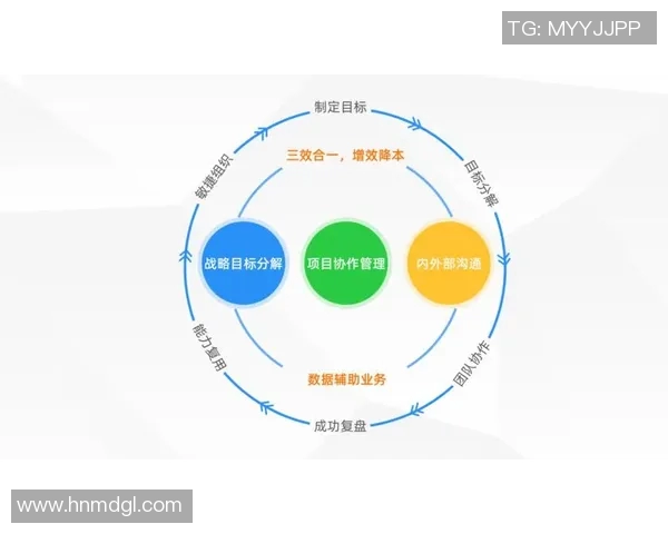 赛后复盘：武汉排球队与西安排球队的团队协作与战术分析探讨